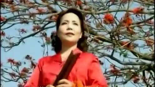 泉州南音视频,千年古韵，音韵流转的东方之美