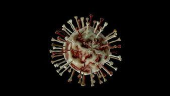 病毒视频素材,传播速度与防控策略