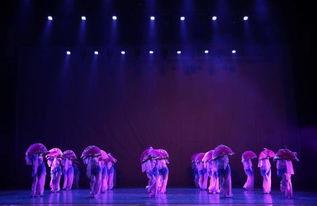 美丽中国舞蹈视频,探寻民族风情的舞蹈魅力