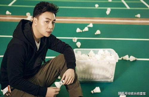 释小龙视频,武术小子再展身手，精彩瞬间回顾