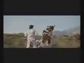 人和牛视频,一段温馨的田园生活剪影