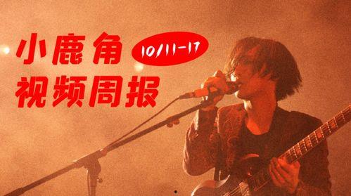 18xxx视频,揭秘XX领域的震撼瞬间