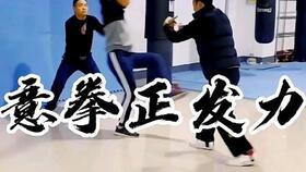 意拳试力视频,探寻传统武术的内在力量与平衡之道