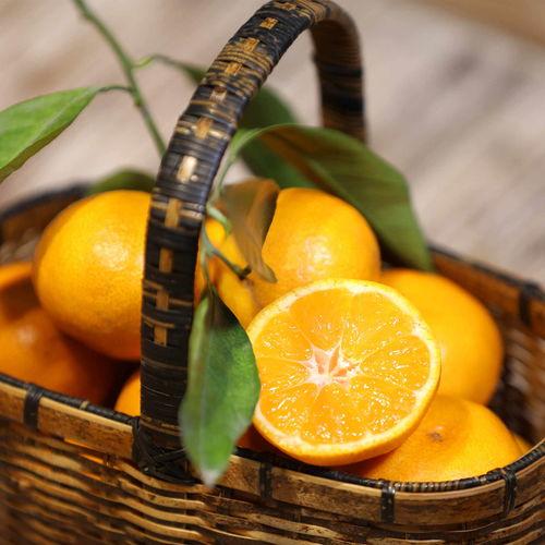 桔子的视频,揭秘日常生活中的小确幸