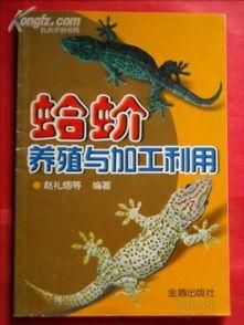 蛤蚧养殖视频,从孵化到收获的养殖过程揭秘