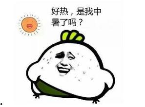 热死了视频,热死人的高温挑战